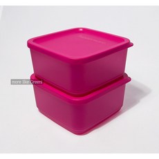 타파웨어 싱싱블럭 김통 반찬통 밀페용기 650ml 핑크, 2개, 용기 씰
