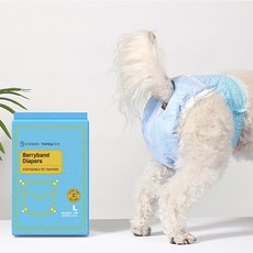 씬바이 허니케어 베리 밴드기저귀 암컷용, 1개, 10개입, 대형