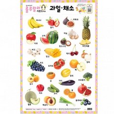 학습 사운드벽보 과일 채소 / 520mmx765mm, 빠른배송