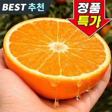 꿀팜즈 명품꿀맛 초고당도 제주 천혜향, 1박스, 1kg