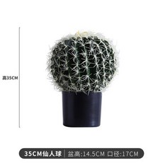 대형 인조 선인장(105 190cm 옵션)
