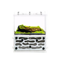 螞蟻帝國 深林枯木蟻宅Pro 一體式立體輕質磚巢 中型階段開放 螞蟻飼養觀察, 1個