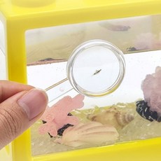 문가네 어항속새우키우기 어항세트