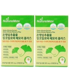 은행잎추출물 징코페놀 징코빌로바 메모리 플러스 기억력개선 혈액순환 혈행개선 (플라보놀 배당체 최대치 36mg) 2개월분 500mg x 60정 (30g), 2개