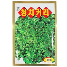 영농사 <청치커리 씨앗 1300립> 치커리씨, 3개