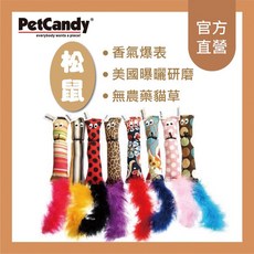 PetCandy 純手工松鼠造型貓草玩具 加拿大無農藥薄荷貓草 香氣爆表, 1個, 松鼠造型*1個