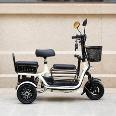 토크엑스 접이식 세발전기자전거 800W 3인승 3륜 전동스쿠터, 2인승 듀얼 12A(45마일)