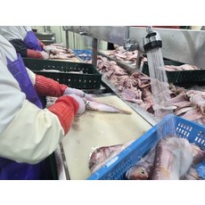 배달시키지마세요 구입후간편하게드세요 제주 반건조 옥돔 5마리 음식은 즉석으로먹어야 정말맛있습니다, 1개, 1없음
