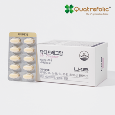 LKB 닥터프레그맘 - 올인원 활성엽산 1 000ug x 100일분, 3개, 3개, 300정