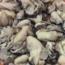 청정 남해안 직접조업한 신선한 생굴, 1개, 1kg