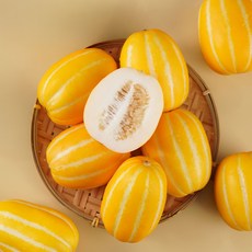 [재구매율 99%] 초고당도 성주 참외 정품과 산지직송, 1박스, 1kg