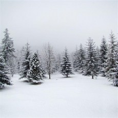 스튜디오배경지 유튜브 설산 설경 촬영 프레임, 1.5x2m, 1개, 실버