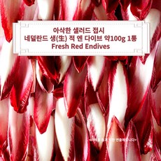 미트팬트리 생(生) 붉은 적엔다이브 약 100g 1통 Fresh Red Endives, 1개