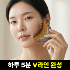 비벨르 리프팅 괄사 브러쉬, 브라운, 1개 브라운, 1개