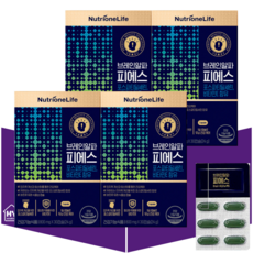 뉴트리원 포스파티딜세린 브레인알파 피에스 인지력 기억력 ps 30캡슐X4개, 30정, 4개