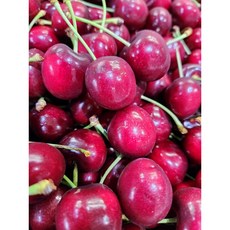 [프리미엄등급] 청량한 레드빛 체리 하루 한 줌의 행복, 1박스, 500g대과