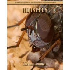 Housefly: An Amazing Animal Picture Book about Housefly for Kids Paperback, Independently Published