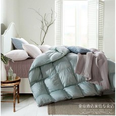 구스이불 헝가리 겨울 이불 Q S 호텔 침구 거위털 프리미엄, I