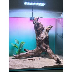 沉木樹樁 魚缸造景 天然一體 入水秒沉, 1個