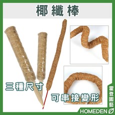 椰纖棒-爬蟲墊材底材 天然椰纖 透氣保濕 營造舒適棲息環境, 1個, 椰纖棒30cm