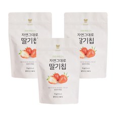 아이보리 자연그대로 딸기칩, 3개, 15g