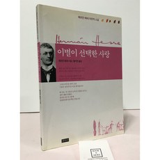 이별이 선택한 사랑 헤르만 헤세 문지사 중고 상