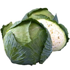 속이 꽉찬 햇 수확 싱싱한 제주 양배추, 1개, 3kg