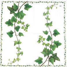 덩쿨손 냅킨 5장 K-30-003, 5개