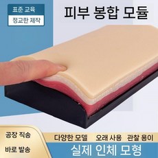 제이베니-601 모의 정맥 혈관 주사 IV 연습용 인공 피부 실습 엉덩이 팔뚝 모형 외과 인조 스킨 봉합 절개, 9. 근육 내 주사 모듈 (큰  아크 모양)