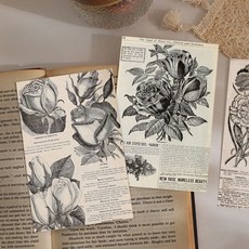 複古英文花卉10張複古裝飾卡片墻麵明信片寢室客廳臥室裝飾畵, 1個