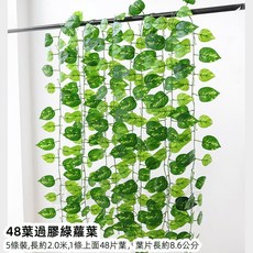 優選樂購 仿真藤條 綠蘿葉裝飾 綠藤藤蔓 假樹葉 塑膠花藤 水管道遮擋 空調遮擋 仿真綠葉花, 48葉過膠綠蘿葉5條, 1個