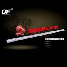 仟湖OF 御龍殿 龍魚專用LED燈, 1個, AL522 紅龍增豔燈六尺