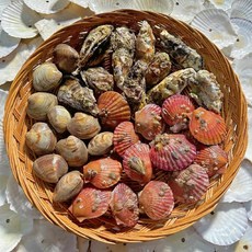 국내산 캠핑용 제철모둠조개 대박세트 2kg 조개구이세트