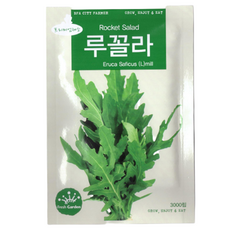 청농 루꼴라 (로켓샐러드) 씨앗 3000립, 1개