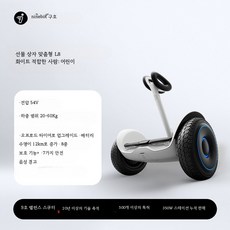 전동 밸런스 스쿠터 스마트 안전 승용완구 선물용 2륜 차량, 1개, 54V L8 화이트 20-60kg 36V