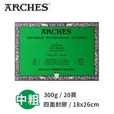 Arches 阿詩 全棉水彩紙 中粗紋 300g/m² 31x31cm 20張, 1個, 300g(18x26cm)