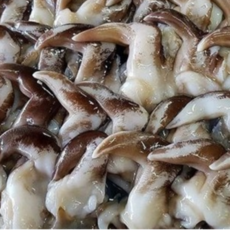 [당일조업] 탱글하게 살아있는 여수 새조개, 1개, [당일조업]여수 새조개200g