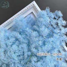 大好屋 不凋蓬萊松 永生蓬萊松 大束份量 節慶花材 新年飾品 花圈裝飾, 蓬萊松【水藍】約50克，大束裝