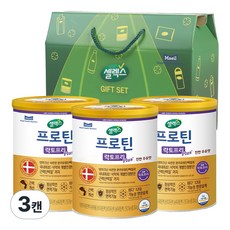 매일 셀렉스 프로틴 락토프리 플러스 304g 3캔 선물세트