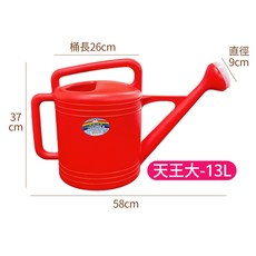 雙像灑水器 3L/5L/10L/13L 澆花器 澆水桶, 1個, 13L；只能寄宅配