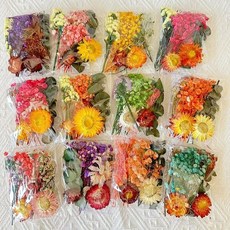 狐戀花 台灣現貨 電子發票 迷你小包乾燥花 新年 2025 蛇年, 1個, 迷你小包乾燥花❰藍❱x1個, 藍