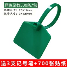 彩色尼龍標籤紮帶 防水標識牌 電線電纜塑料封條, 綠色 500條 ,3X120, 1個