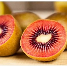 뉴질랜드산 제스프리 루비 레드키위 15과(개당 85g내외)/중과, 없음