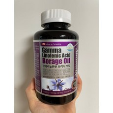 캐나다 감마리놀렌산 보라지오일 6개월분 가성비, 1개