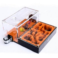 개미 키우기 둥지 관찰 성하우스 사육장 키트, 디럭스 버전 (급수기 및 쓰레기 구역 포함) 30 x