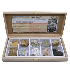지학 퇴적암 표본 10종 세트 지질학 교구 실험재료 융합교육
