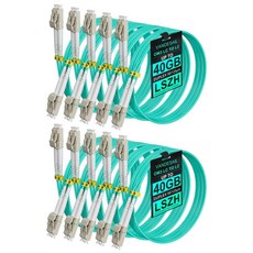 VANDESAIL 섬유 패치 케이블 10G 기가비트 광섬유 케이블 LC - 멀티모드 OM3 듀플렉스 50/125 OFNP, 1 m, 10
