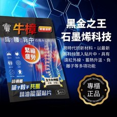 牛樟超導體石墨烯共振精油貼片 5片/袋, 1個