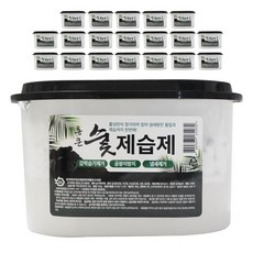 통큰 숯 제습제 325, 20개, 325g