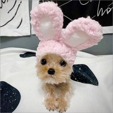 BROWMODA 애완동물 귀여운 방한 털 모자, 토끼